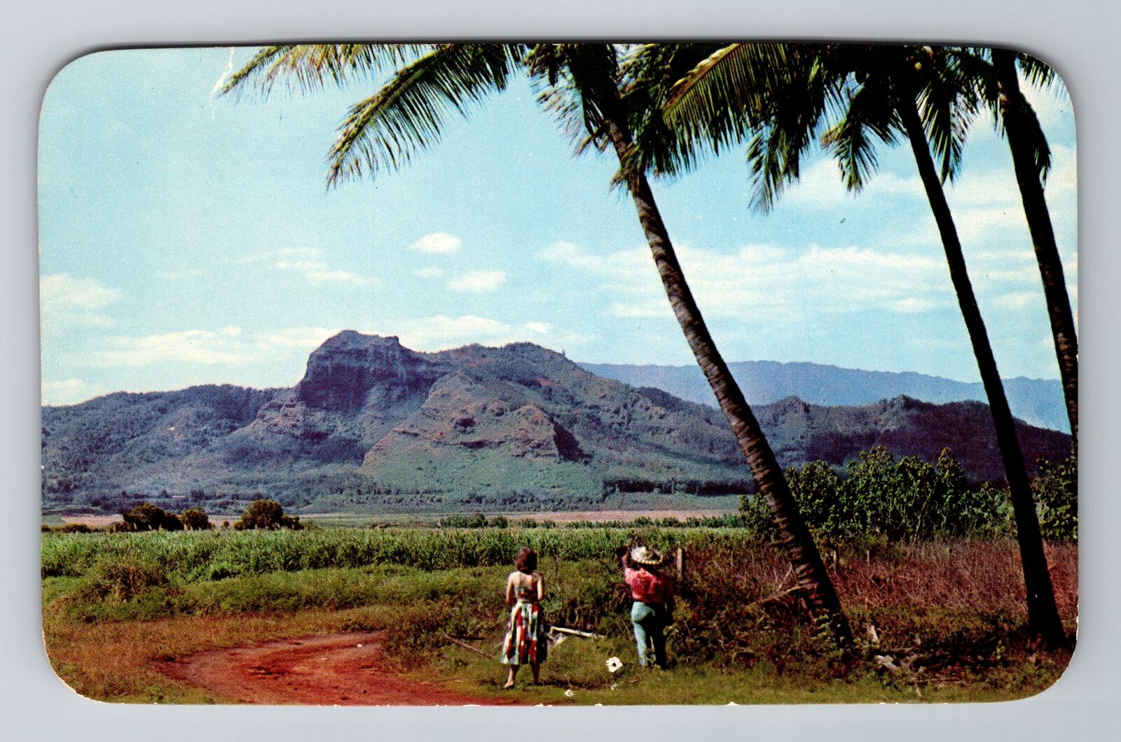 Kauai HI-Hawaii, Sleeping Giant Mountain Kapaa, Antique, Vintage Postcard