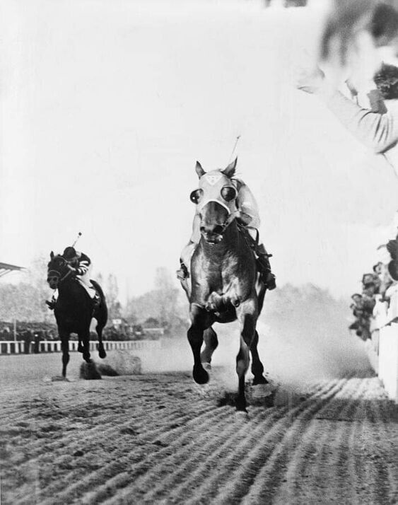 Race Horse SEABISCUIT Crosses Finish Line vs War Admiral Picture Photo 8.5x11
