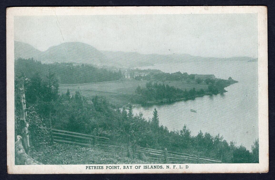 PETRIES POINT Bay of Islands Newfoundland 1930s Old Postcard by Parsons