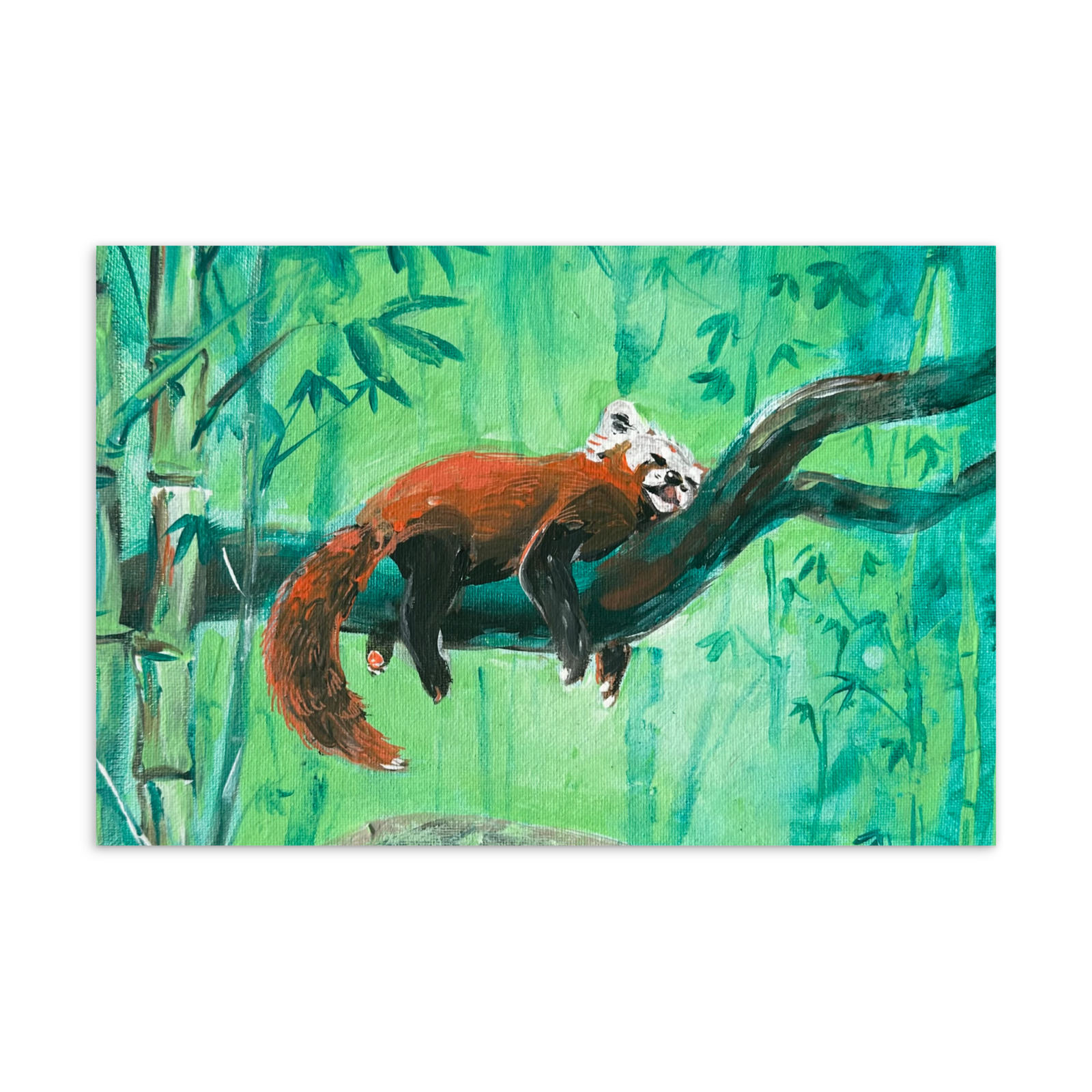 Red Panda Standard Postcard 4x6