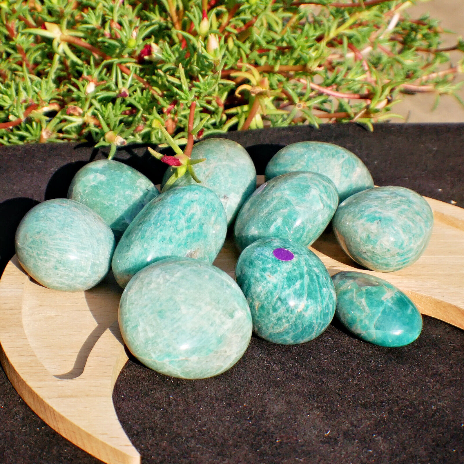 2LBS Wholesale Natural Amazonite Palm Stone Rock Crystal Quartz Healing CARE 10p