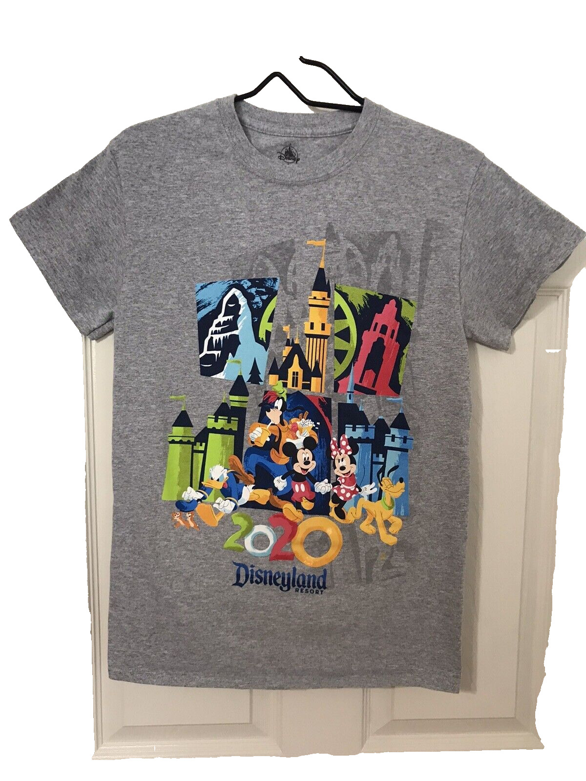 Disneyland Resort Mickey Donald Pluto Goofy Minnie 2020 T-Shirt Small