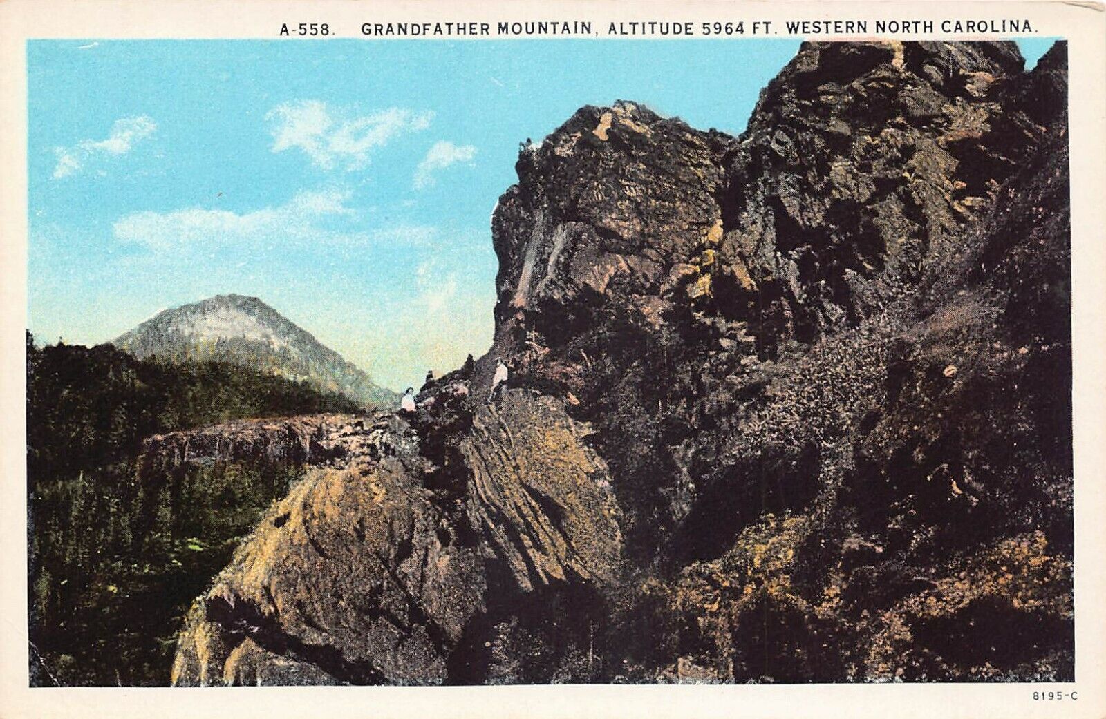 Linville NC North Carolina Blue Ridge Grandfather Mountains Vtg Postcard V5