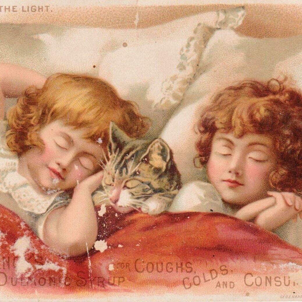 Schenck\'s Pulmonic Syrup Quack Medicine 1880s Trade Card Hold To Light Cat