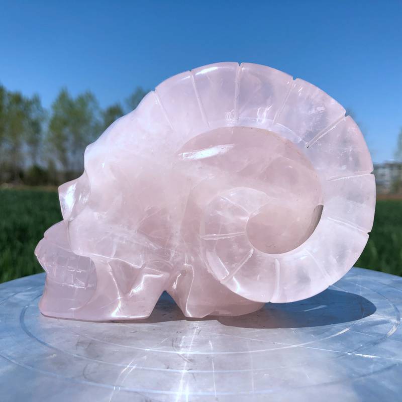 2.72LB Natural pink rose quartz skull Hand Carved Crystal Healing XK3364
