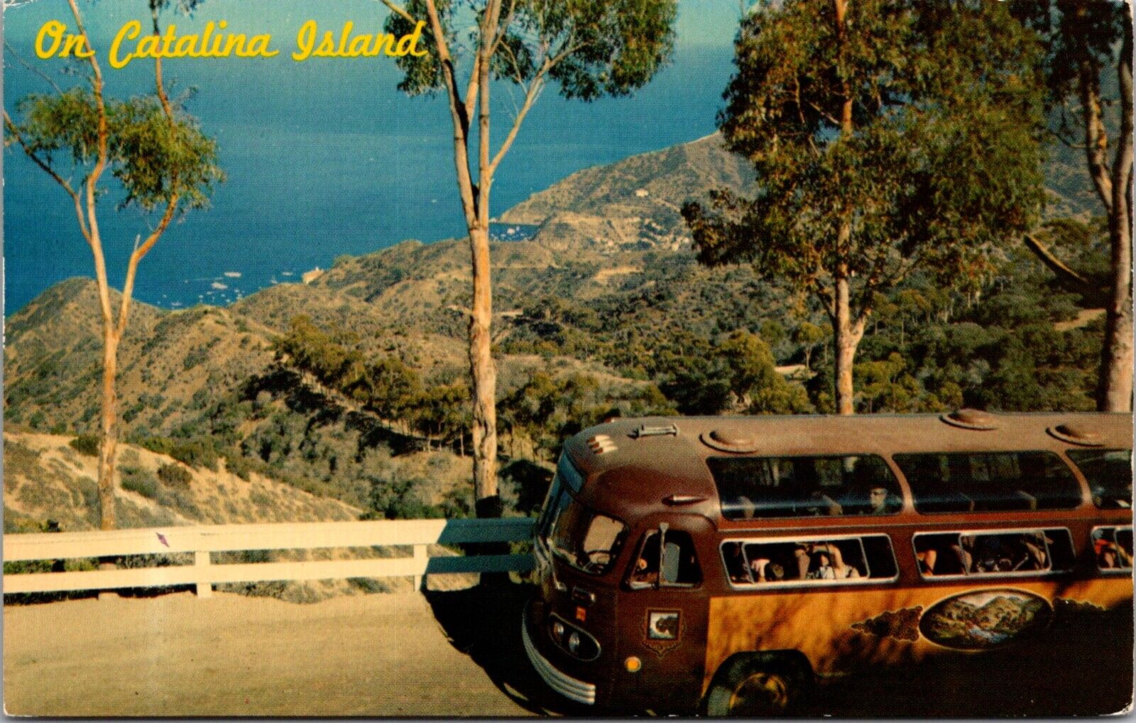 Postcard Bus at Summit of Skyline Drive in Catalina Island, California