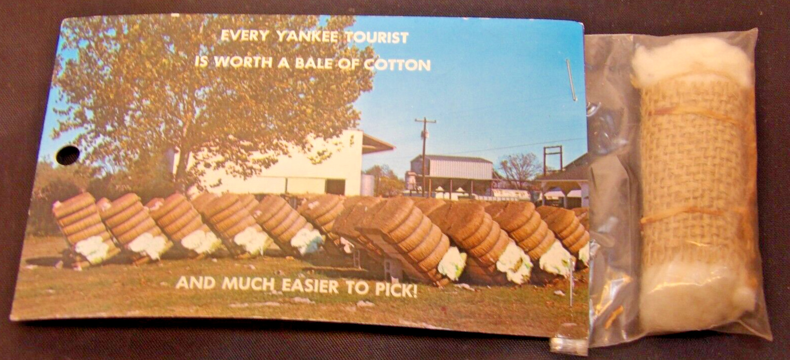 Every Yankee Tourist is Worth a Bale of Cotton Funny Vintage Postcard