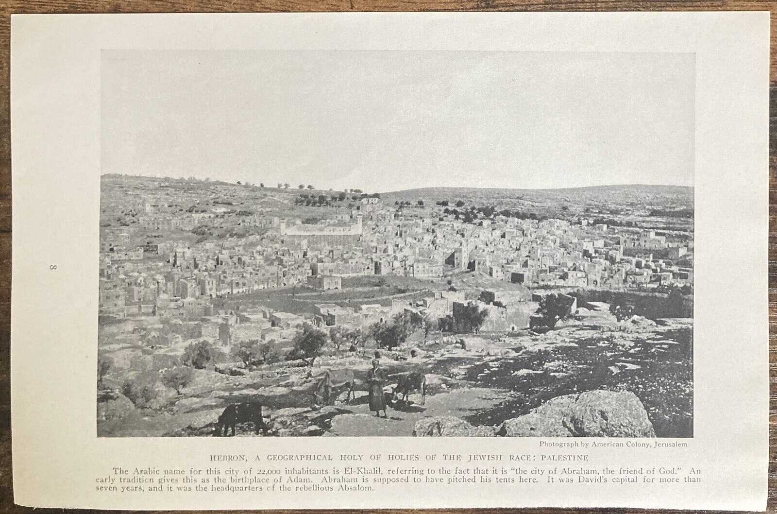 Book Clipping Photo Hebron Israel Palestine 1919 