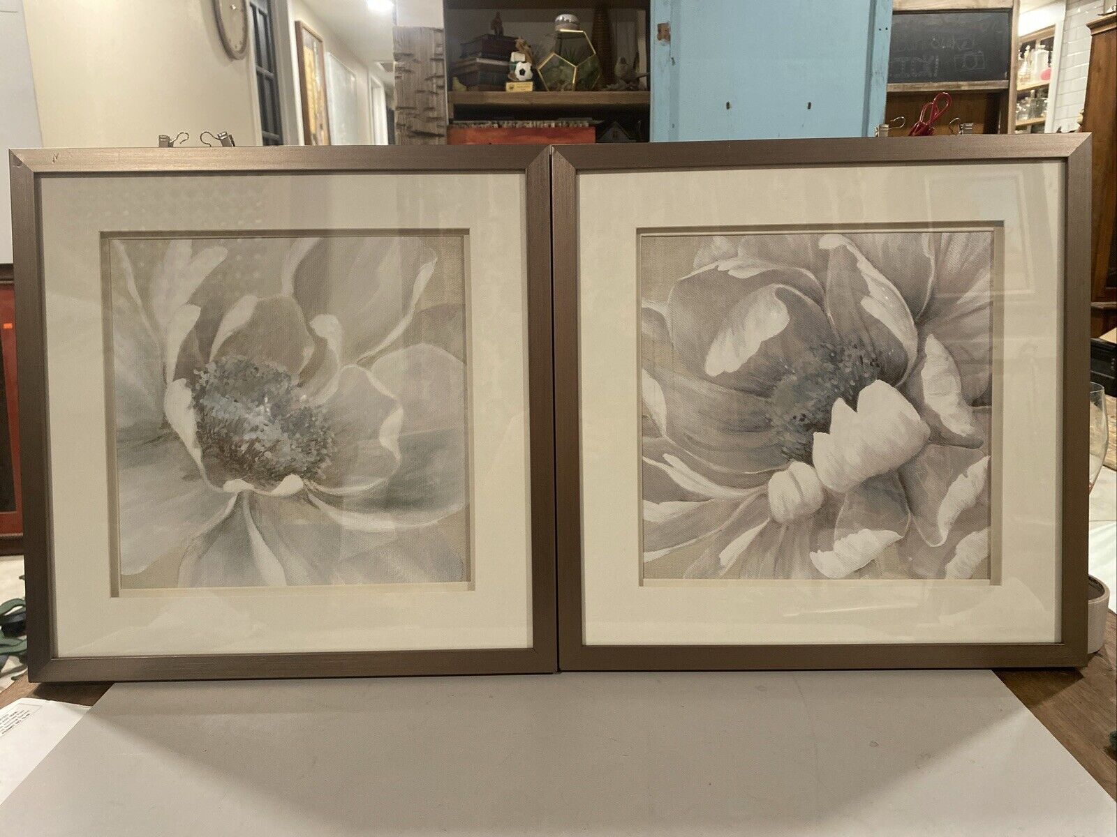 2-Winter Blooms II 17”x17” Bronze Color  Frames. One Has 2 Small Dings In Corner