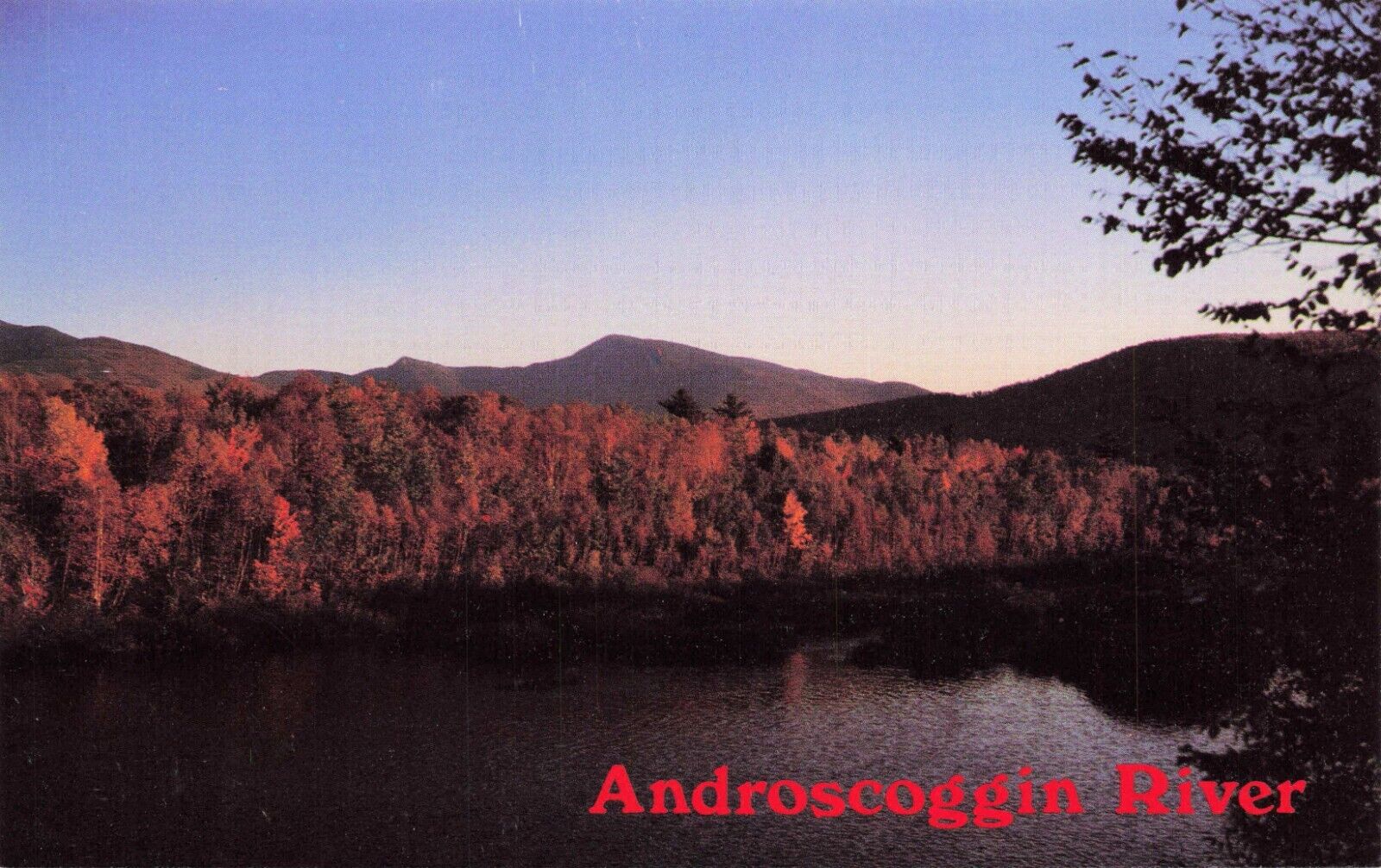 Androscoggin River Maine Vintage View Postcard Unposted Unposted
