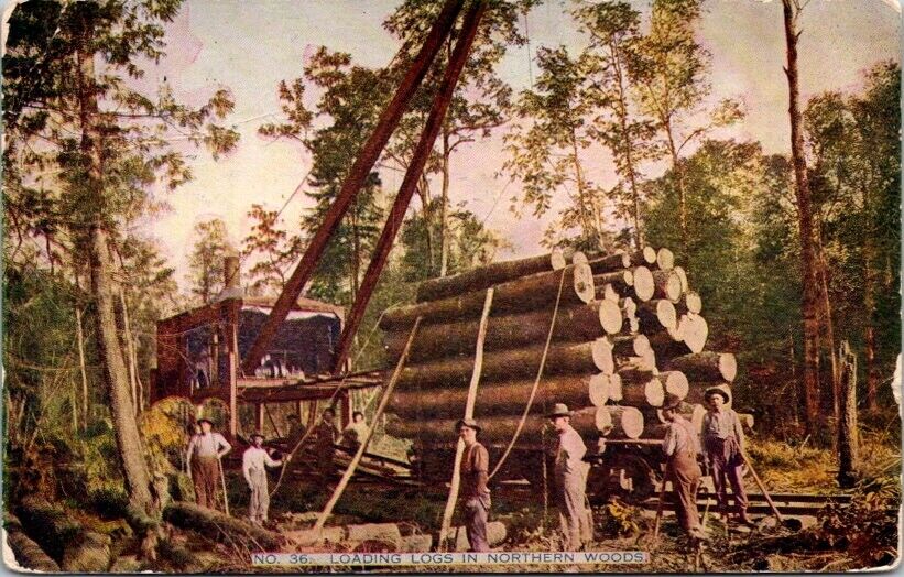 Postcard Loggers Logs Northern Woods posted 1915 Fond du Lac Wisconsin WI   O493