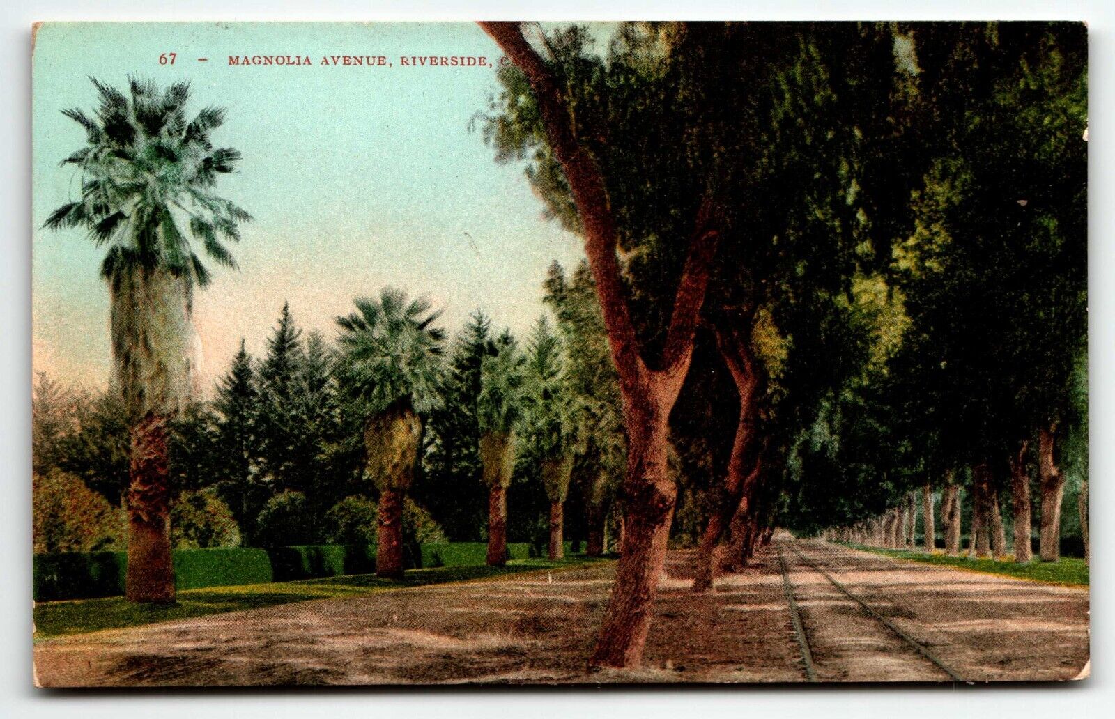 Magnolia Avenue Riverside California Postcard Railroad Tracks CA UNP