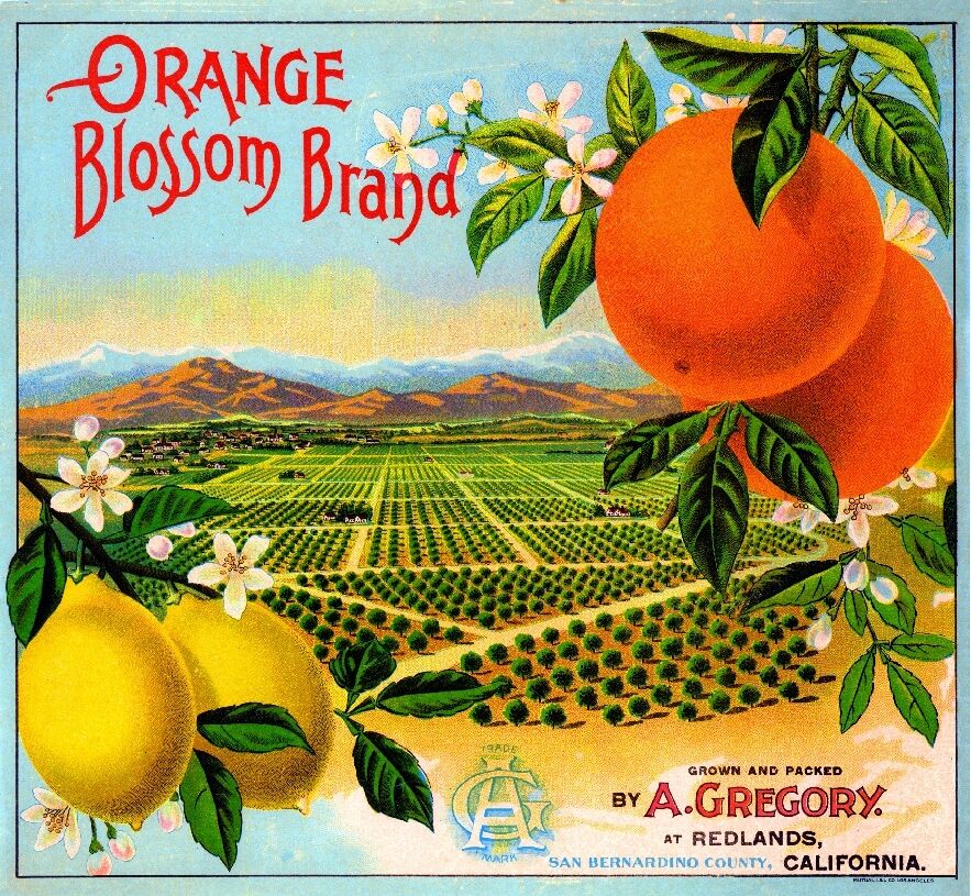Redlands San Bernardino Orange Blossom Bl1 Orange Citrus Fruit Crate Label Print