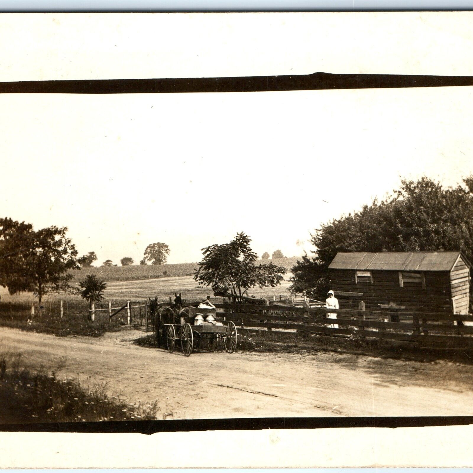 c1910s Horse Carriage Milk RPPC Farm Homestead Real Photo PC Chicken Shed A124