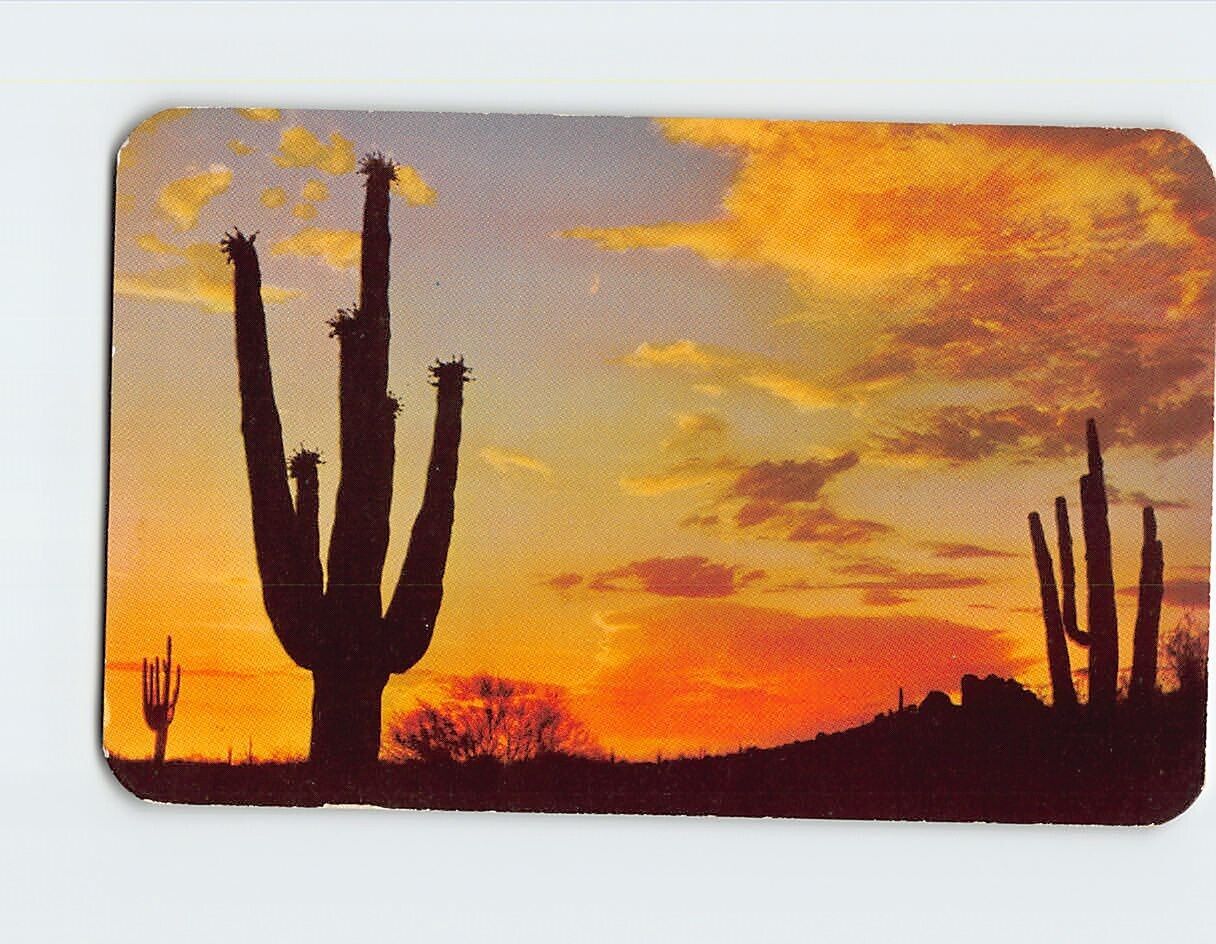 Postcard Desert Sunset