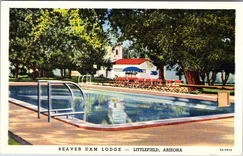 Postcard SWIMMING POOL SCENE Littlefield Arizona AZ AL7606
