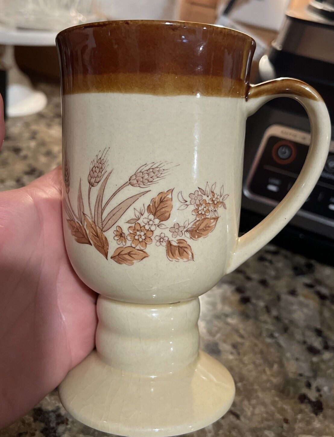 Vintage Earthtone Color Browns W Wheat N Flower Design Pedestal Mug Coffee 6” Ta