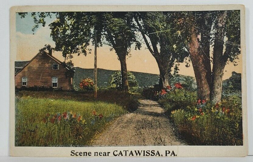 PA Scene Near CATAWISSA Country Road  & Home c1915 Postcard O9