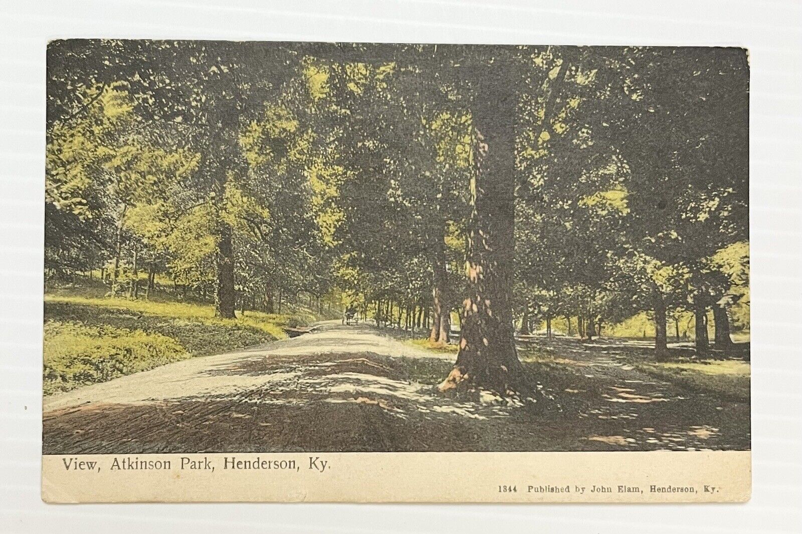 1908 Postcard Atkinson Park, Henderson, Kentucky KY