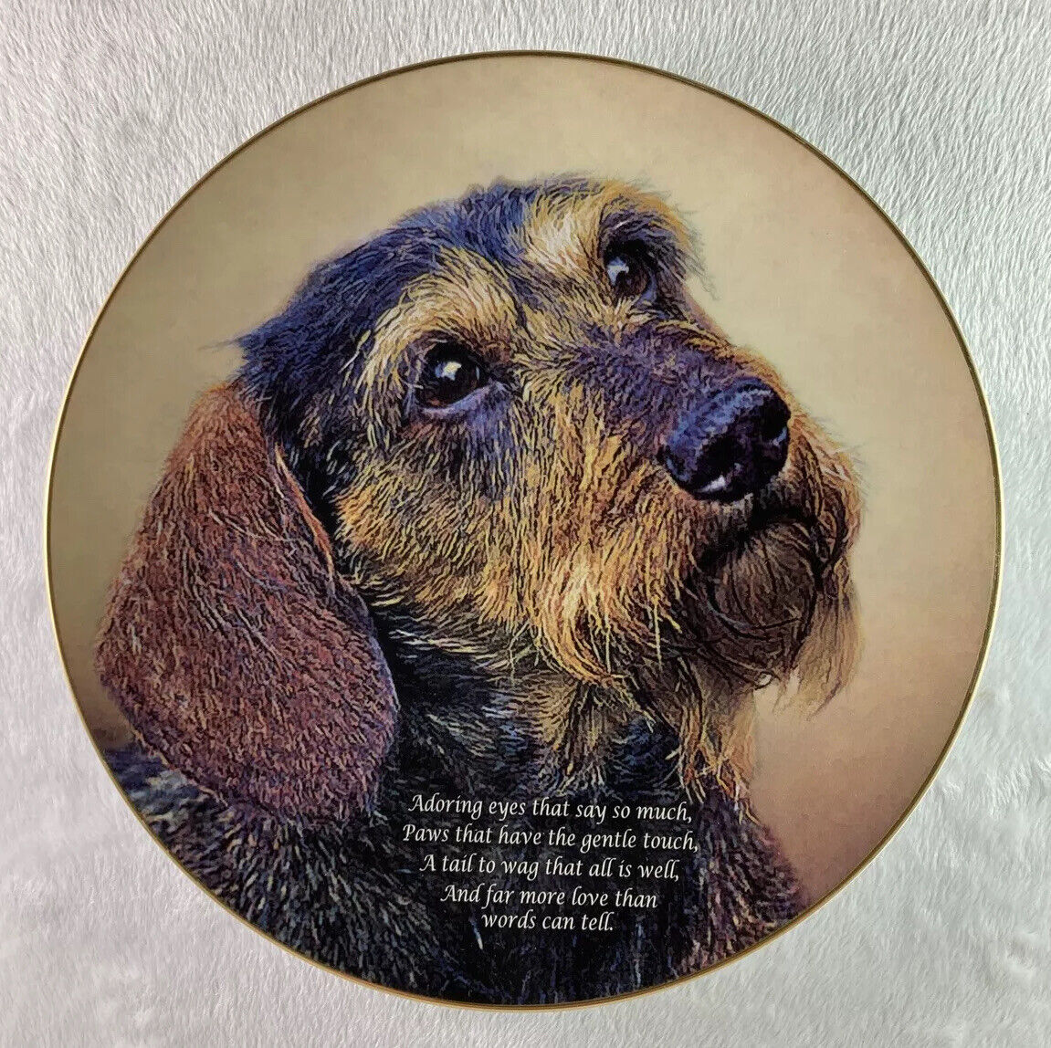 Cherished Dachshunds ADORING EYES Plate Danbury Paws That Have the Gentle Touch