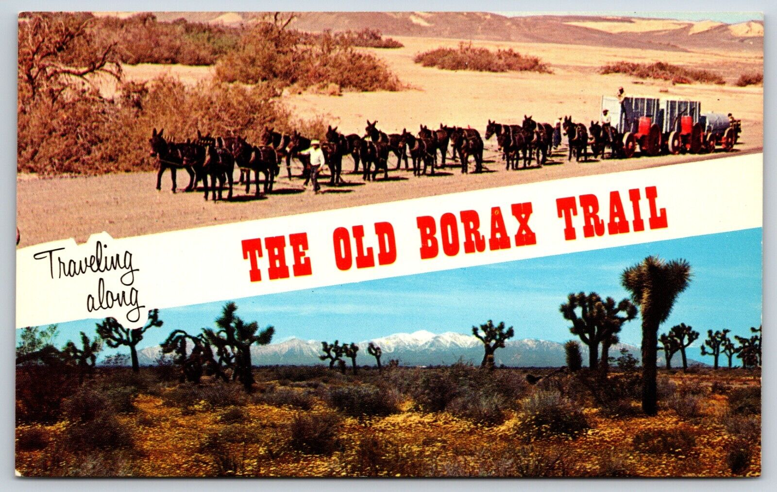 Postcard Traveling Along The Old Borax Trail, 20-Mule Team, California Unposted