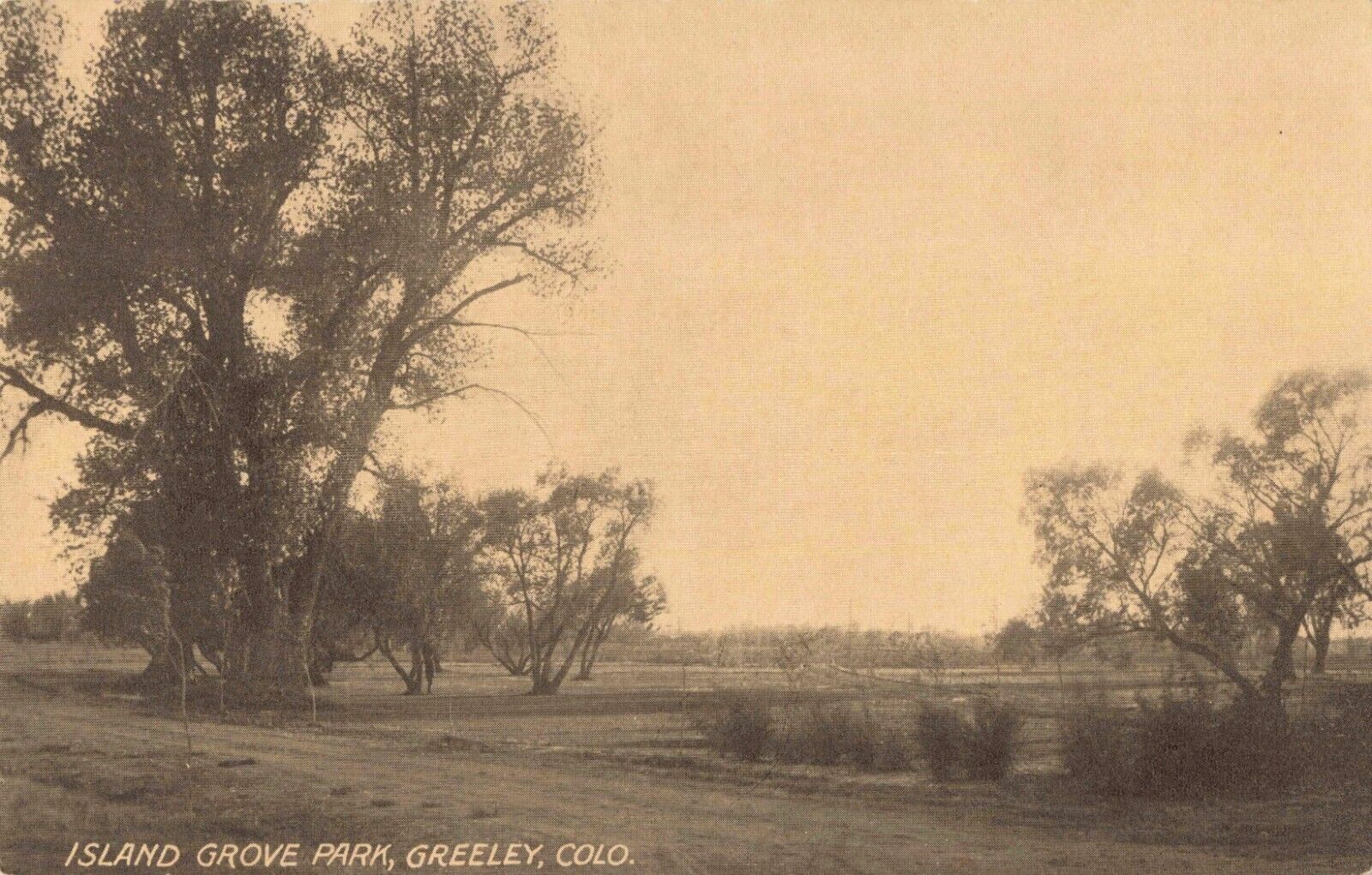 Island Grove Park Greeley Colorado CO c1910 Postcard