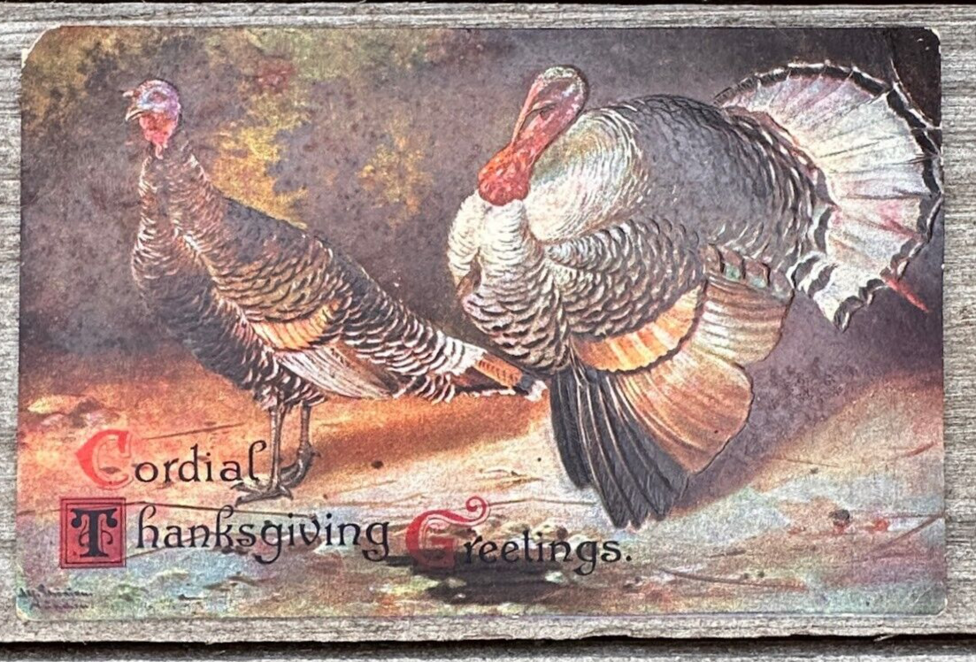 Antique 1909 Thanksgiving Postcard Cordial Greetings Turkeys International Art