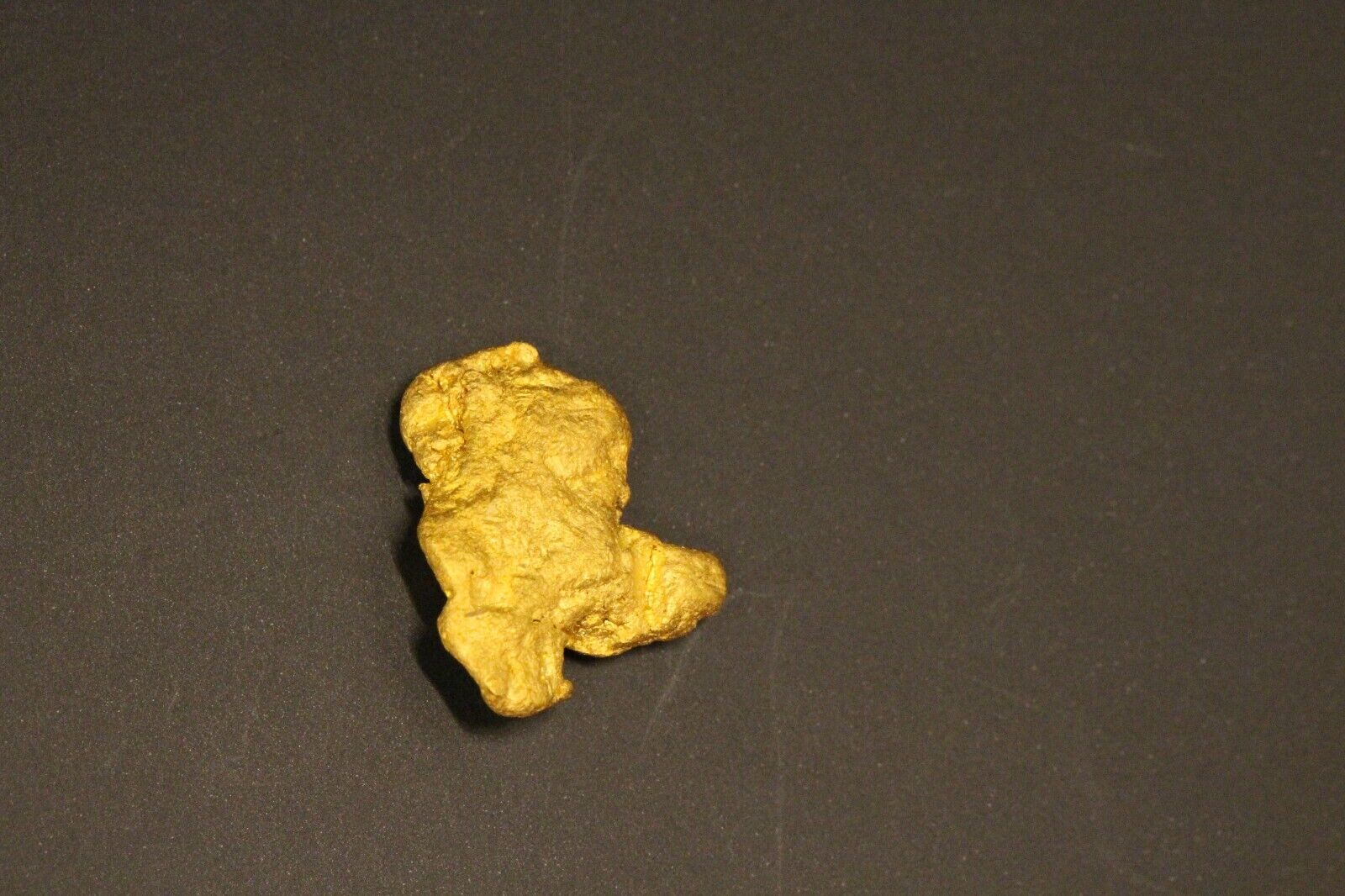 Gold Nugget 2.4 Grams  Devils Nest Placer  Yavapai Co. AZ