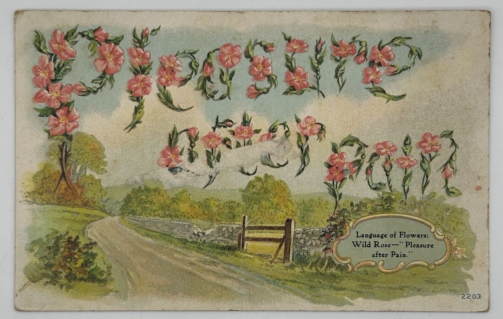 Antique 1909 Language of Flowers Post Card -Wild Rose-Pleasure after Pain