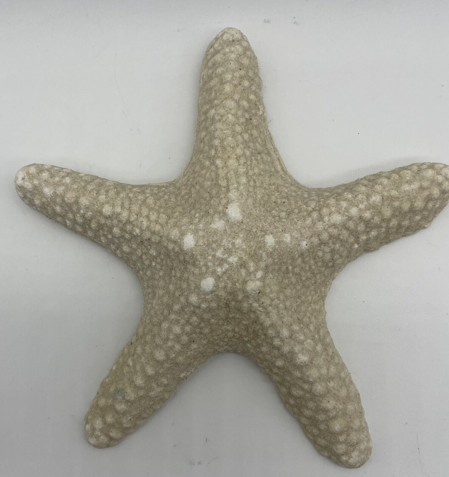Faux Starfish Wall Art 7 Inches Natural Looking Molded Cement Handmade