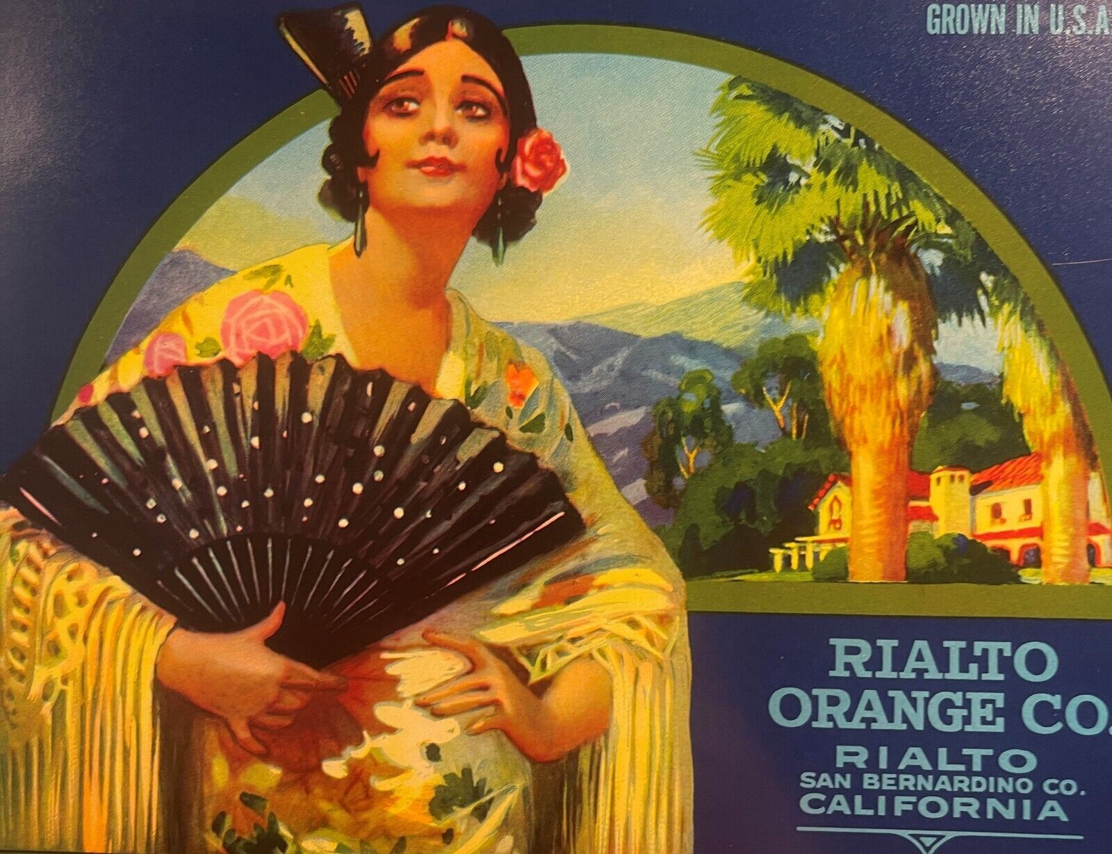Antique Vintage 1930s La Reina Crate Label, Rialto CA, Beautiful Americana
