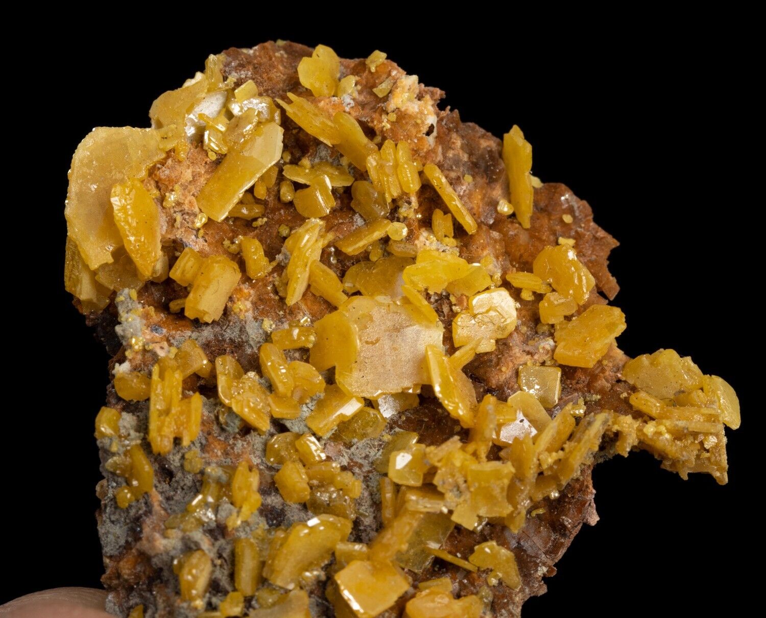 WULFENITE crystals on matrix 0.42 oz stone specimen #9525T - MOROCCO