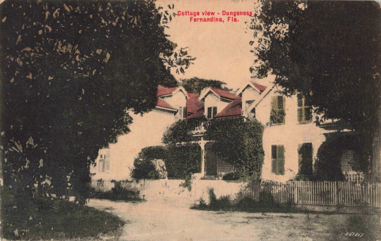 Cottage View Dungeness Fernandina Florida FL 1910 Postcard