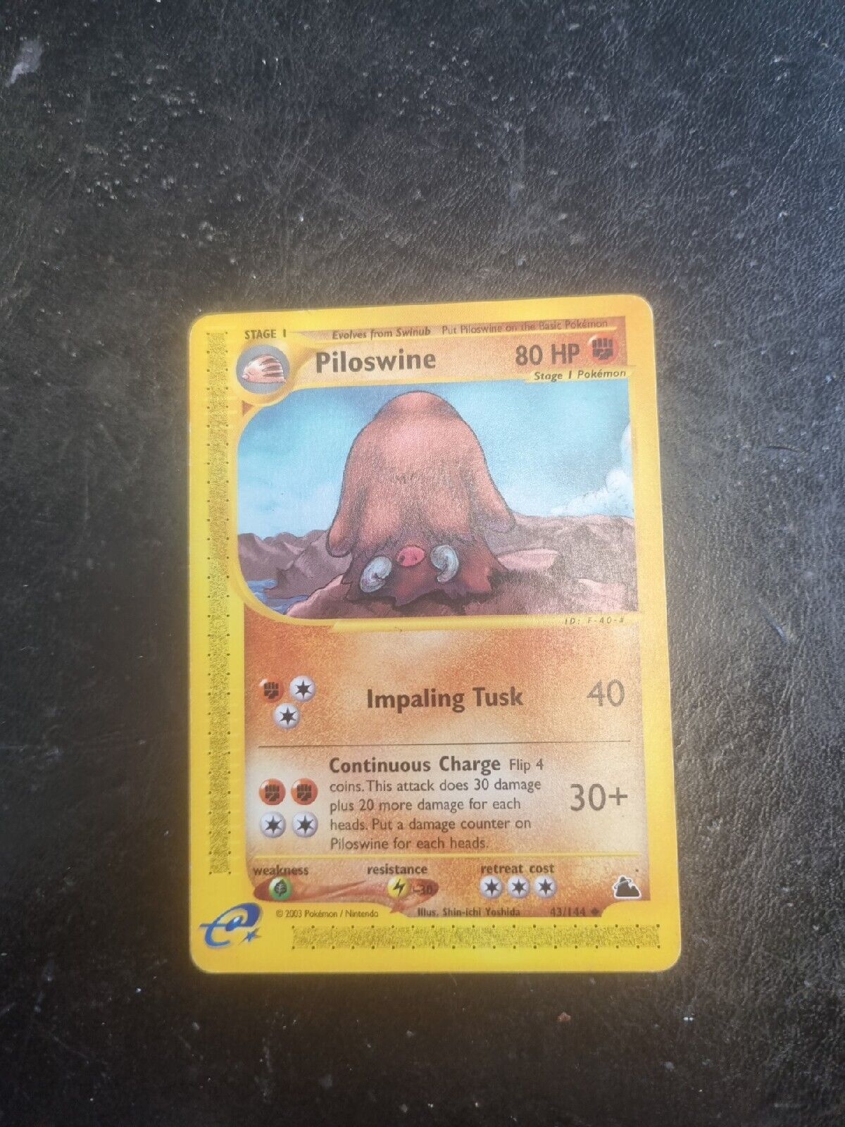 43/144 Piloswine - Skyridge - Pokemon Card - Light Play - WOTC