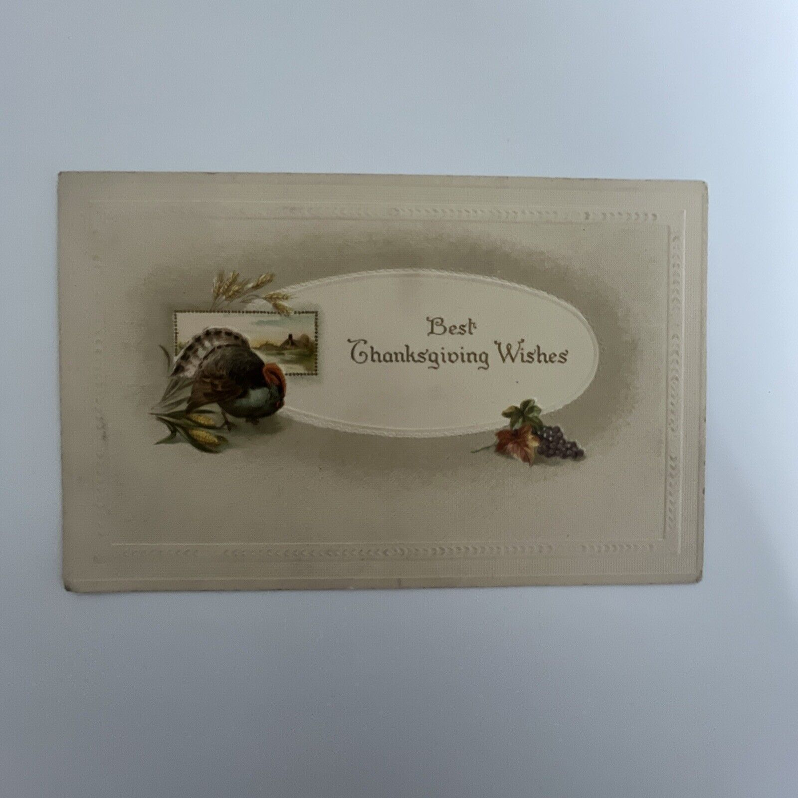 Vintage Thanksgiving Postcard Printed In Germany