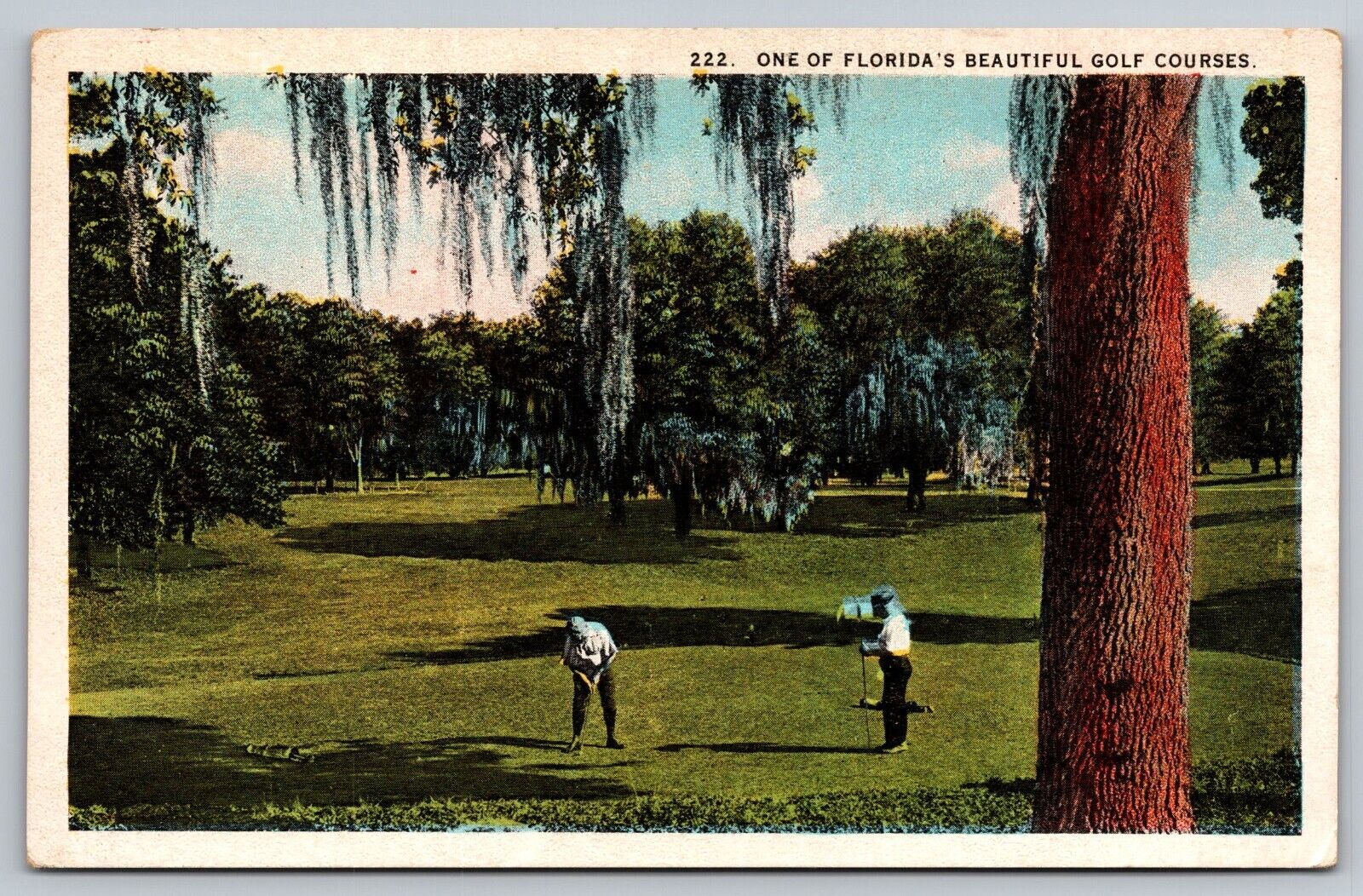 Postcard Florida Golf Course
