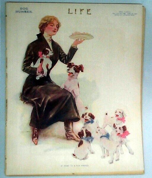 LADY FEEDING SEVEN ( 7 ) PUPPIES DOGS 1911 COVER LIFE MAGAZINE REPRINT