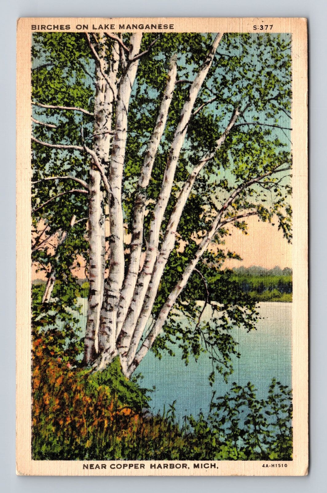Copper Harbor MI-Michigan, Scenic Birches Lake Manganese, Vintage c1938 Postcard