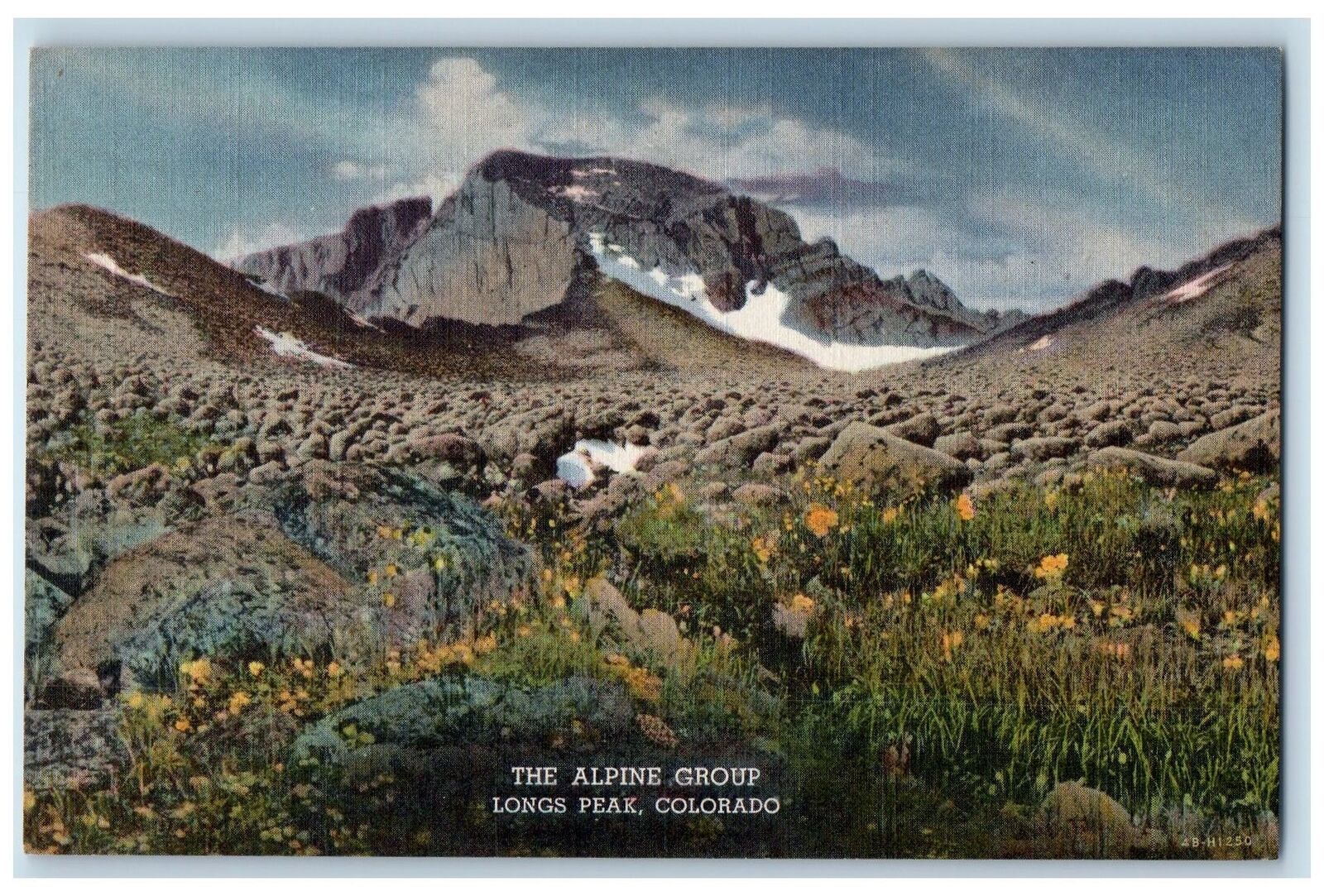 c1940s The Colorado Museum The Alpine Group Longs Peak Colorado CO Postcard