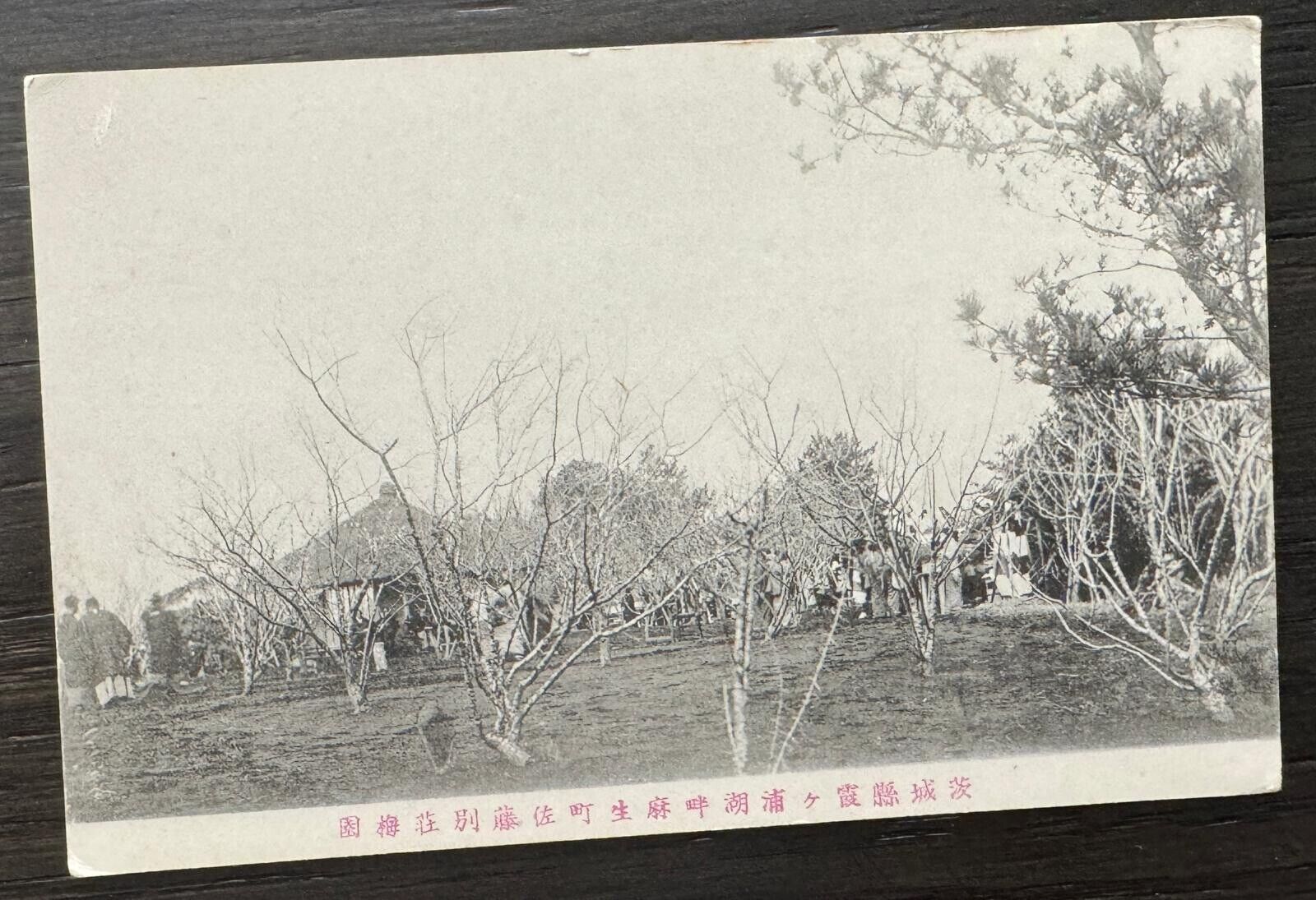 Japan Postcard 1910s