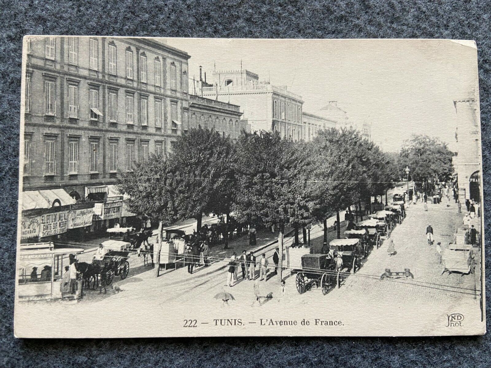 Tunis L' Avenue  De France Vintage Postcard
