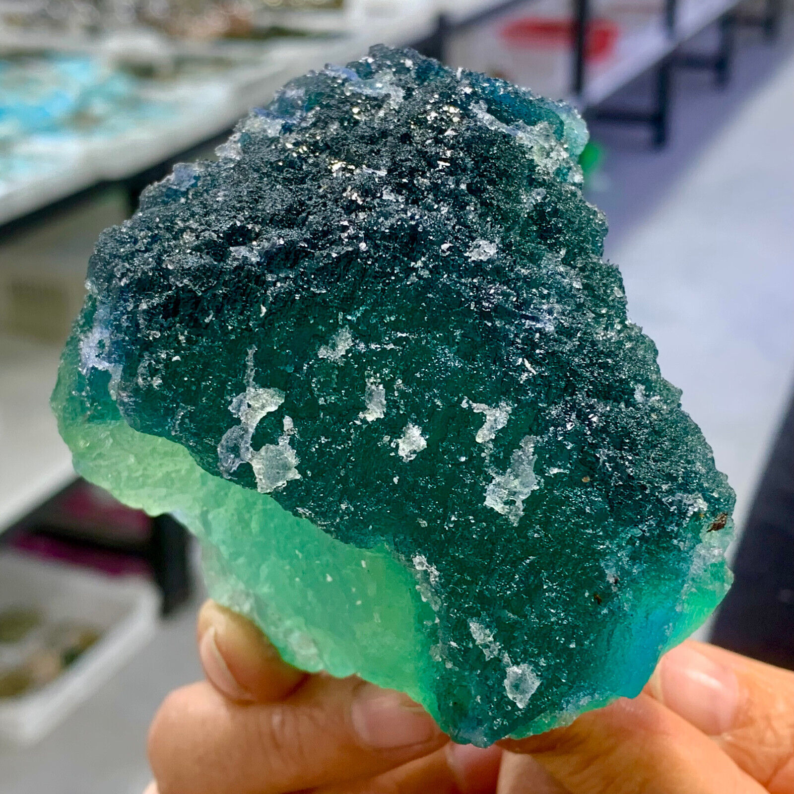 1.13LB Rare transparent green cubic fluorite mineral crystal sample
