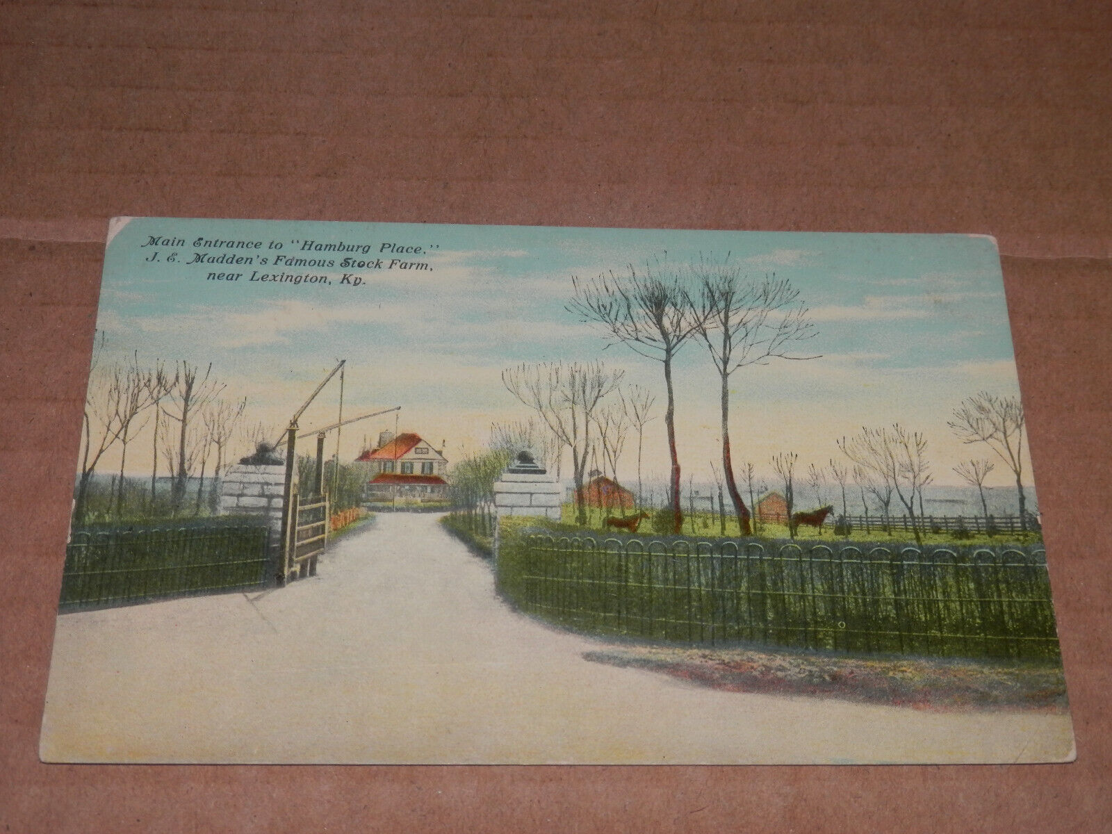 LEXINGTON KENTUCKY - 1907-1915 ERA POSTCARD - HAMBURG PLACE - FAMOUS STOCK FARM