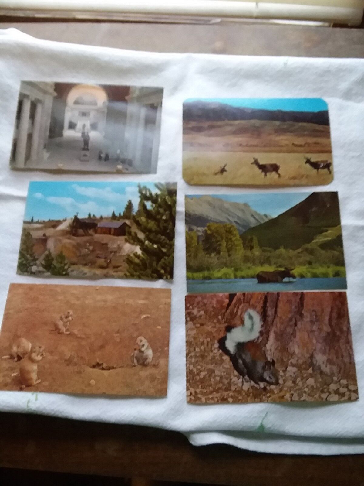 Group Of 6 Vintage Postcards resell lot