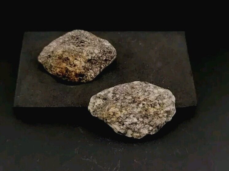 Pair Of Fossilized Fish In Stone Matrix 40g 