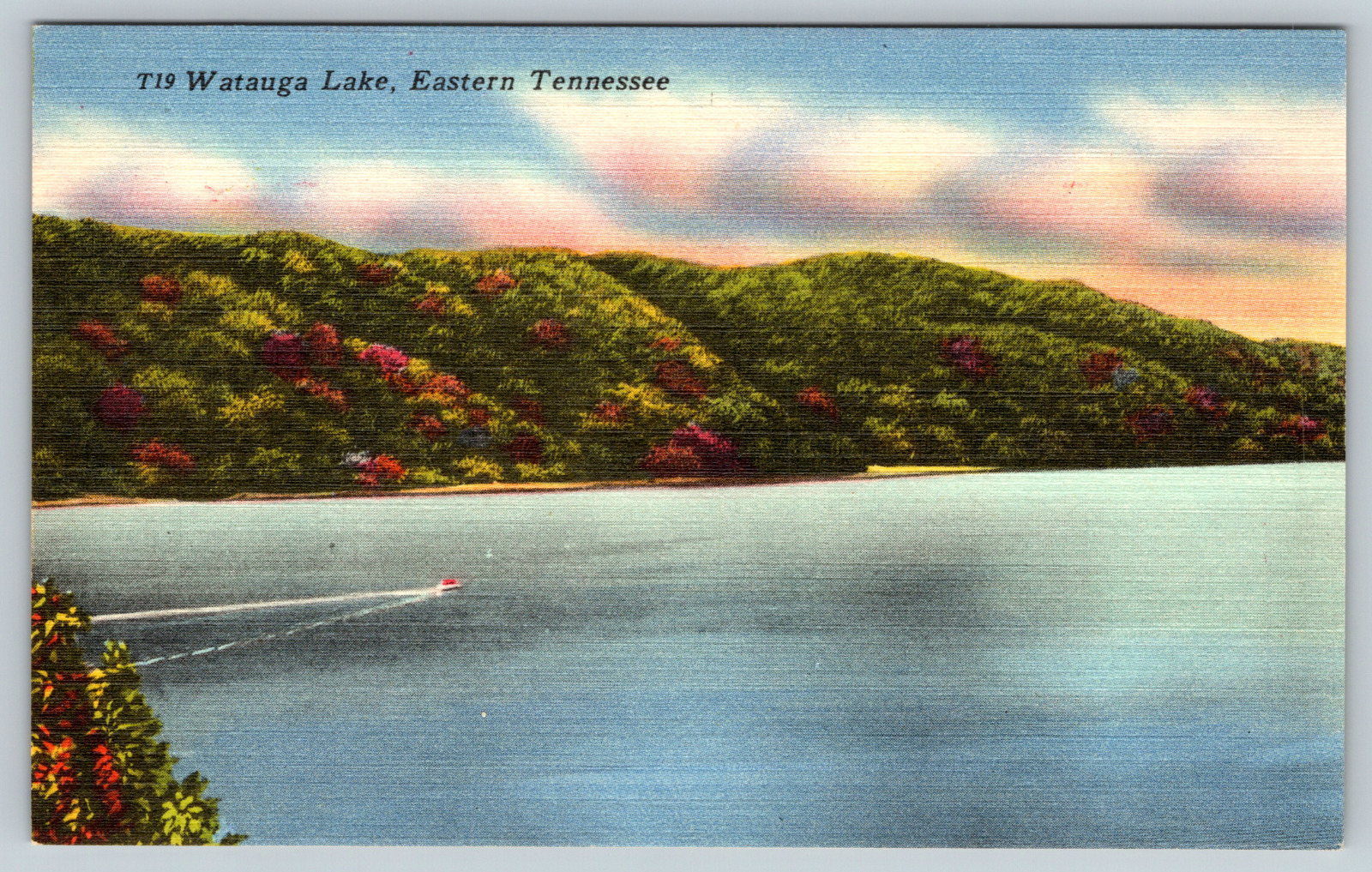 c1940s Watauga Lake, Eastern Tennessee Vintage Postcard