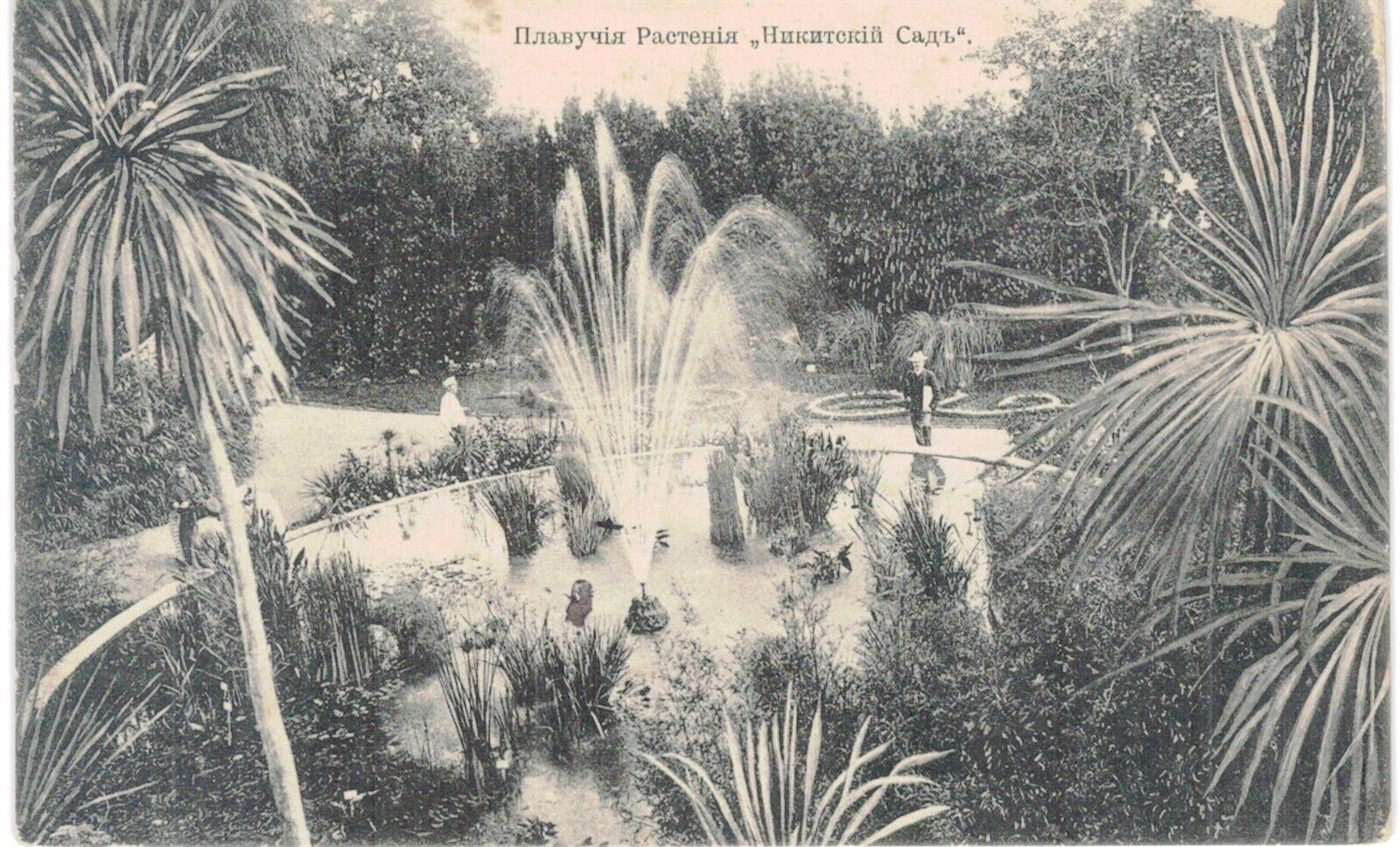 Russian Postcard Garden 1905