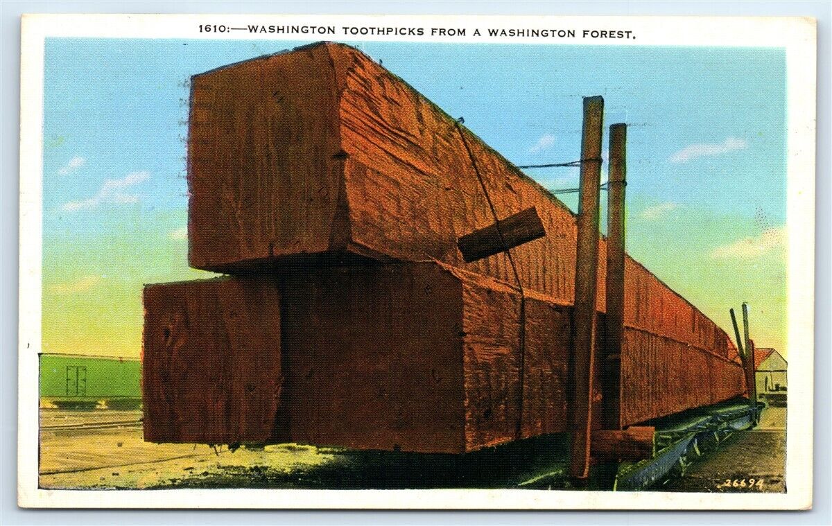 Postcard Washington Toothpicks from a WA Forest timber 1938 G105