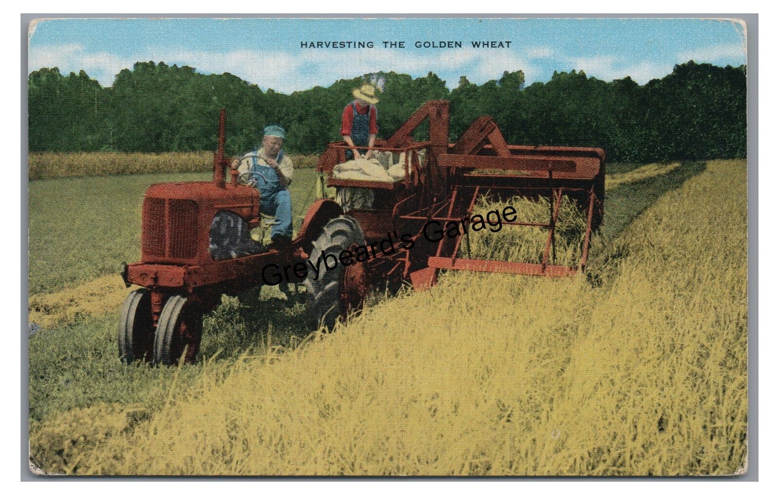 Harvesting the Golden Wheat Farming Tractor Harvester Vintage Postcard