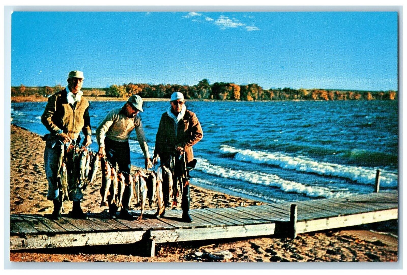 c1960\'s One Day\'s Catch Lake Clitherall Scene Clitherall Minnesota MN Postcard